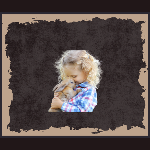 accompagnement professionnel pour le bien-être de votre lapin domestique : analyse, conseils et suivi personnalisé.