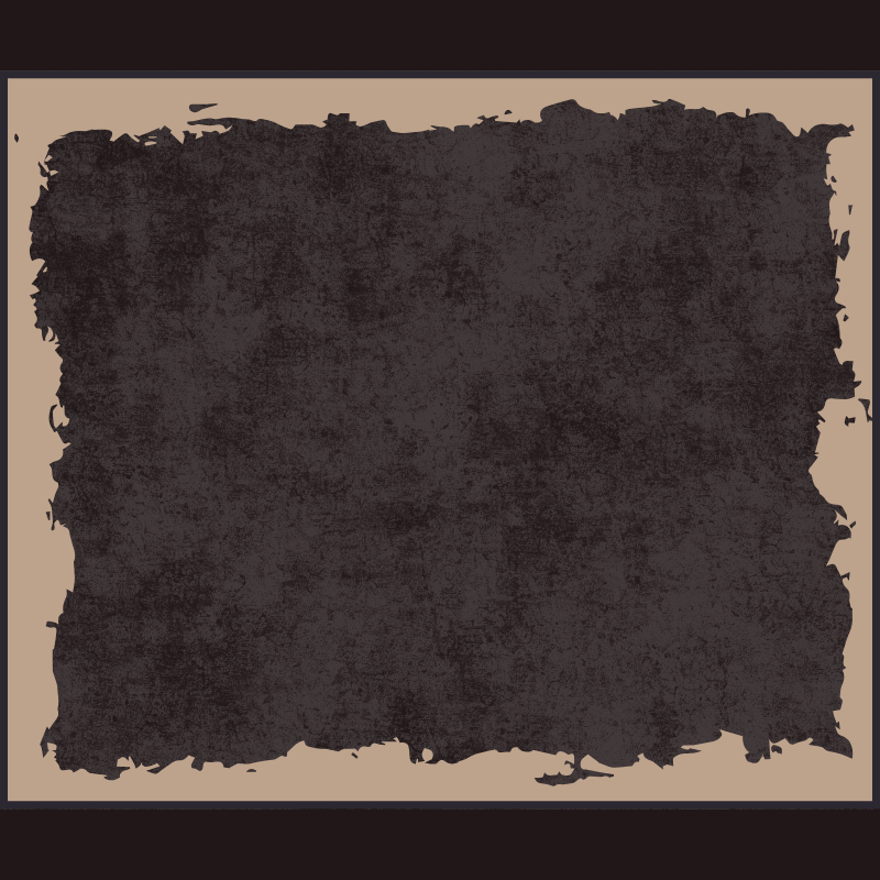 Accompagnement personnalisé pour chats en Wallonie, Grand-Duché de Luxembourg et Nord-Est de la France