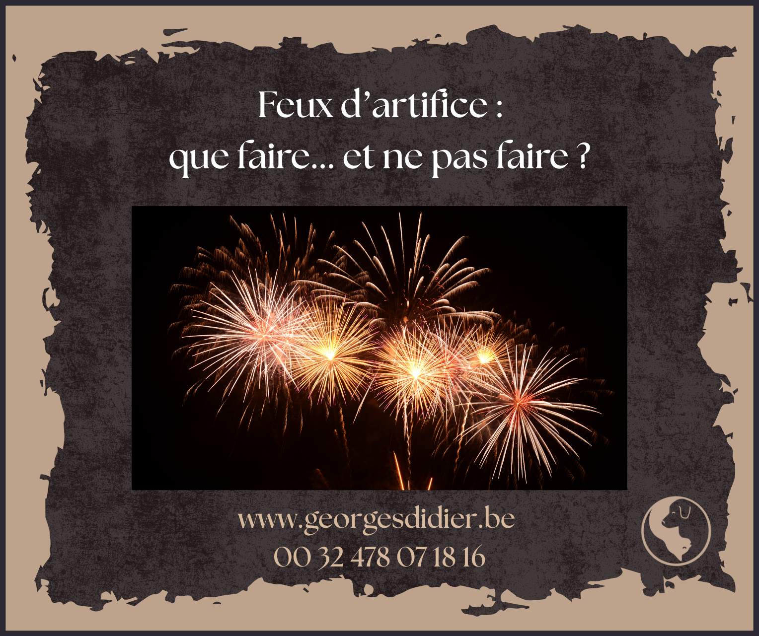 Feux d’artifice : les bons réflexes pour aider votre chat à rester serein